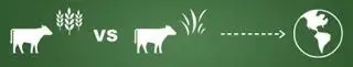 The Benefits of Eating NZ Grass-Fed Red Meat