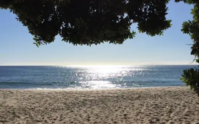 Vitamin D – a vital hormone